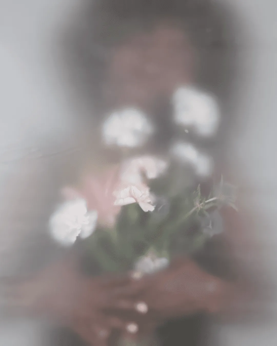 Bouquet de fleurs blanches et roses dans une lumière douce et voilée